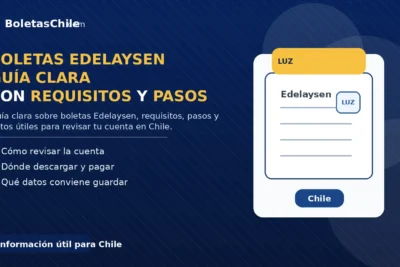 boletas Edelaysen, guía clara con requisitos y pasos en Chile.